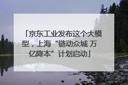 京东工业发布这个大模型，上海“链动众城 万亿降本”计划启动