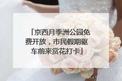 京西月季洲公园免费开放，市民假期驱车前来赏花打卡
