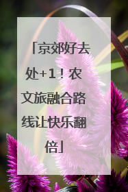 京郊好去处+1！农文旅融合路线让快乐翻倍
