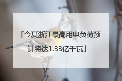 今夏浙江最高用电负荷预计将达1.33亿千瓦
