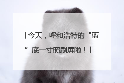 今天，呼和浩特的“蓝”底一寸照刷屏啦！