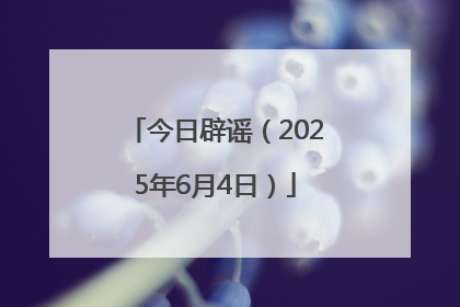 今日辟谣（2025年6月4日）