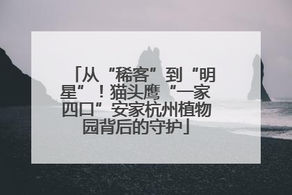 从“稀客”到“明星”！猫头鹰“一家四口”安家杭州植物园背后的守护