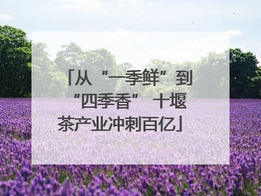 从“一季鲜”到“四季香” 十堰茶产业冲刺百亿