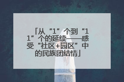 从“1”个到“11”个的延续——感受“社区+园区”中的民族团结情