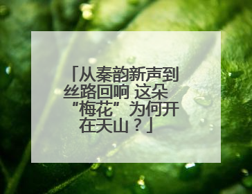 从秦韵新声到丝路回响 这朵“梅花”为何开在天山？