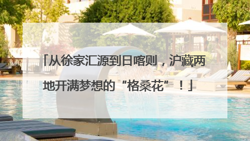 从徐家汇源到日喀则，沪藏两地开满梦想的“格桑花”！