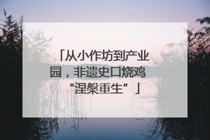 从小作坊到产业园，非遗史口烧鸡“涅槃重生”
