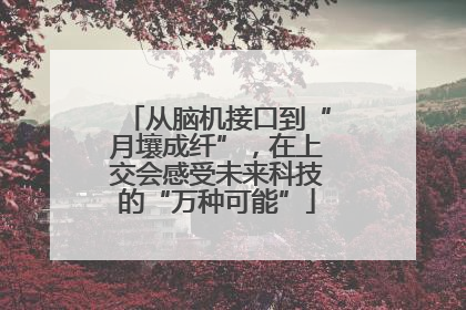 从脑机接口到“月壤成纤”，在上交会感受未来科技的“万种可能”