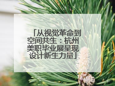 从视觉革命到空间共生：杭州美职毕业展呈现设计新生力量