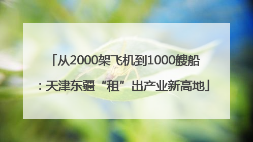 从2000架飞机到1000艘船：天津东疆“租”出产业新高地