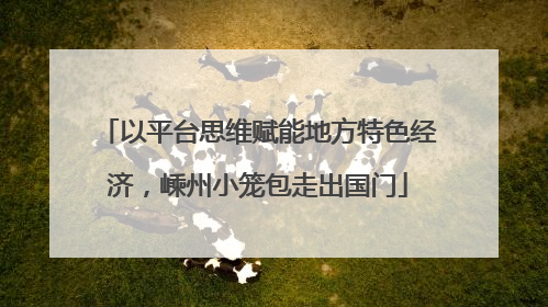 以平台思维赋能地方特色经济，嵊州小笼包走出国门