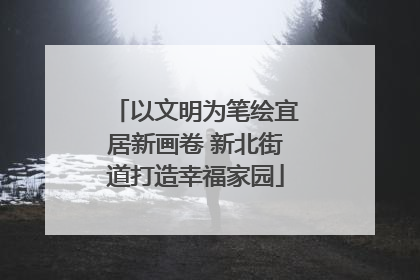 以文明为笔绘宜居新画卷 新北街道打造幸福家园