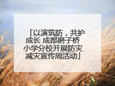 以演筑防，共护成长 成都磨子桥小学分校开展防灾减灾宣传周活动