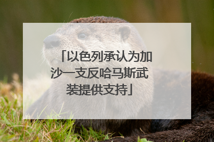 以色列承认为加沙一支反哈马斯武装提供支持