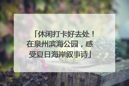 休闲打卡好去处！在泉州滨海公园，感受夏日海岸叙事诗