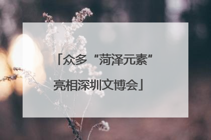 众多“菏泽元素”亮相深圳文博会