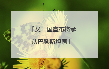 又一国宣布将承认巴勒斯坦国