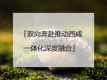 双向奔赴推动西咸一体化深度融合