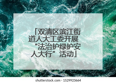 双清区滨江街道人大工委开展“法治护绿护安人大行”活动