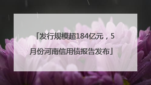 发行规模超184亿元，5月份河南信用债报告发布