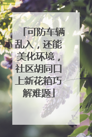 可防车辆乱入，还能美化环境，社区胡同口上新花箱巧解难题