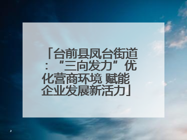 台前县凤台街道：“三向发力”优化营商环境 赋能企业发展新活力