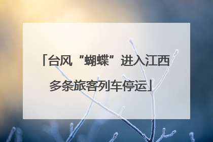 台风“蝴蝶”进入江西 多条旅客列车停运
