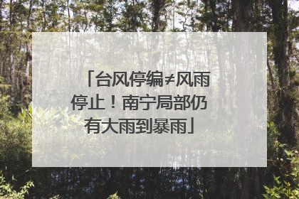 台风停编≠风雨停止！南宁局部仍有大雨到暴雨