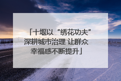 十堰以“绣花功夫”深耕城市治理 让群众幸福感不断提升