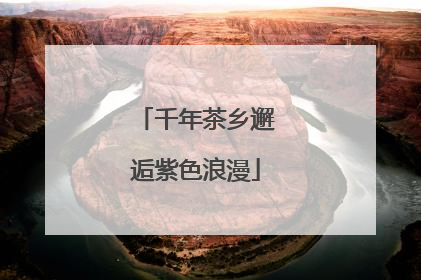 千年茶乡邂逅紫色浪漫