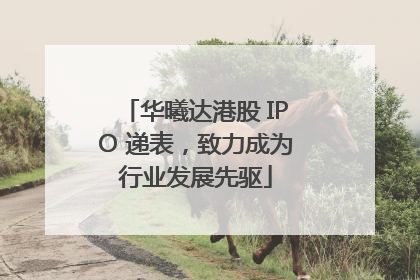 华曦达港股 IPO 递表，致力成为行业发展先驱
