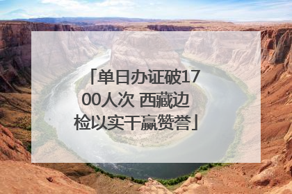 单日办证破1700人次 西藏边检以实干赢赞誉