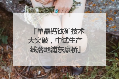 单晶钙钛矿技术大突破，中试生产线落地浦东康桥