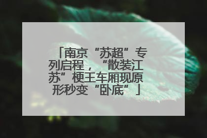 南京“苏超”专列启程，“散装江苏”梗王车厢现原形秒变“卧底”