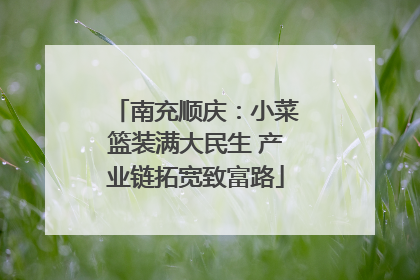 南充顺庆：小菜篮装满大民生 产业链拓宽致富路