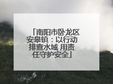 南阳市卧龙区安皋镇：以行动排查水域 用责任守护安全