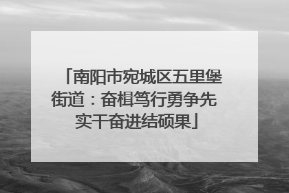 南阳市宛城区五里堡街道：奋楫笃行勇争先 实干奋进结硕果