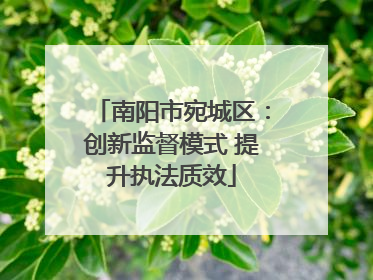 南阳市宛城区：创新监督模式 提升执法质效