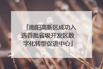 南阳高新区成功入选首批省级开发区数字化转型促进中心