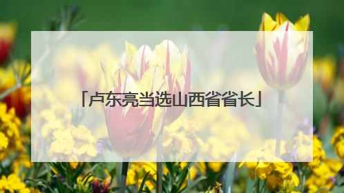 卢东亮当选山西省省长