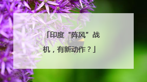 印度“阵风”战机，有新动作？