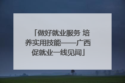 做好就业服务 培养实用技能——广西促就业一线见闻