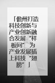 儋州打造科技创新与产业创新融合发展“样板间” 为产业发展插上科技“翅膀”