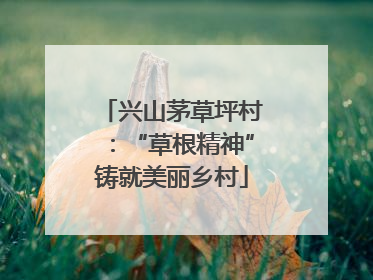 兴山茅草坪村：“草根精神”铸就美丽乡村