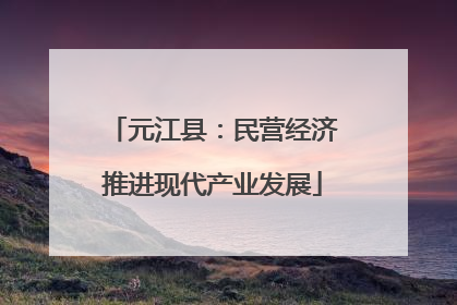元江县：民营经济推进现代产业发展
