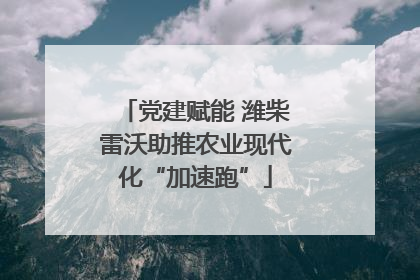 党建赋能 潍柴雷沃助推农业现代化“加速跑”