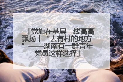 党旗在基层一线高高飘扬丨“去有村的地方”——湖南有一群青年党员这样选择