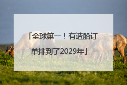 全球第一！有造船订单排到了2029年