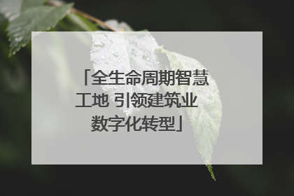 全生命周期智慧工地 引领建筑业数字化转型